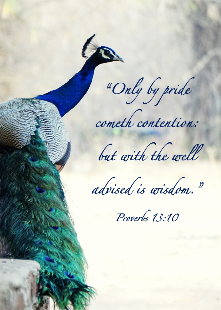 Proverbs 13 10 English.jpg