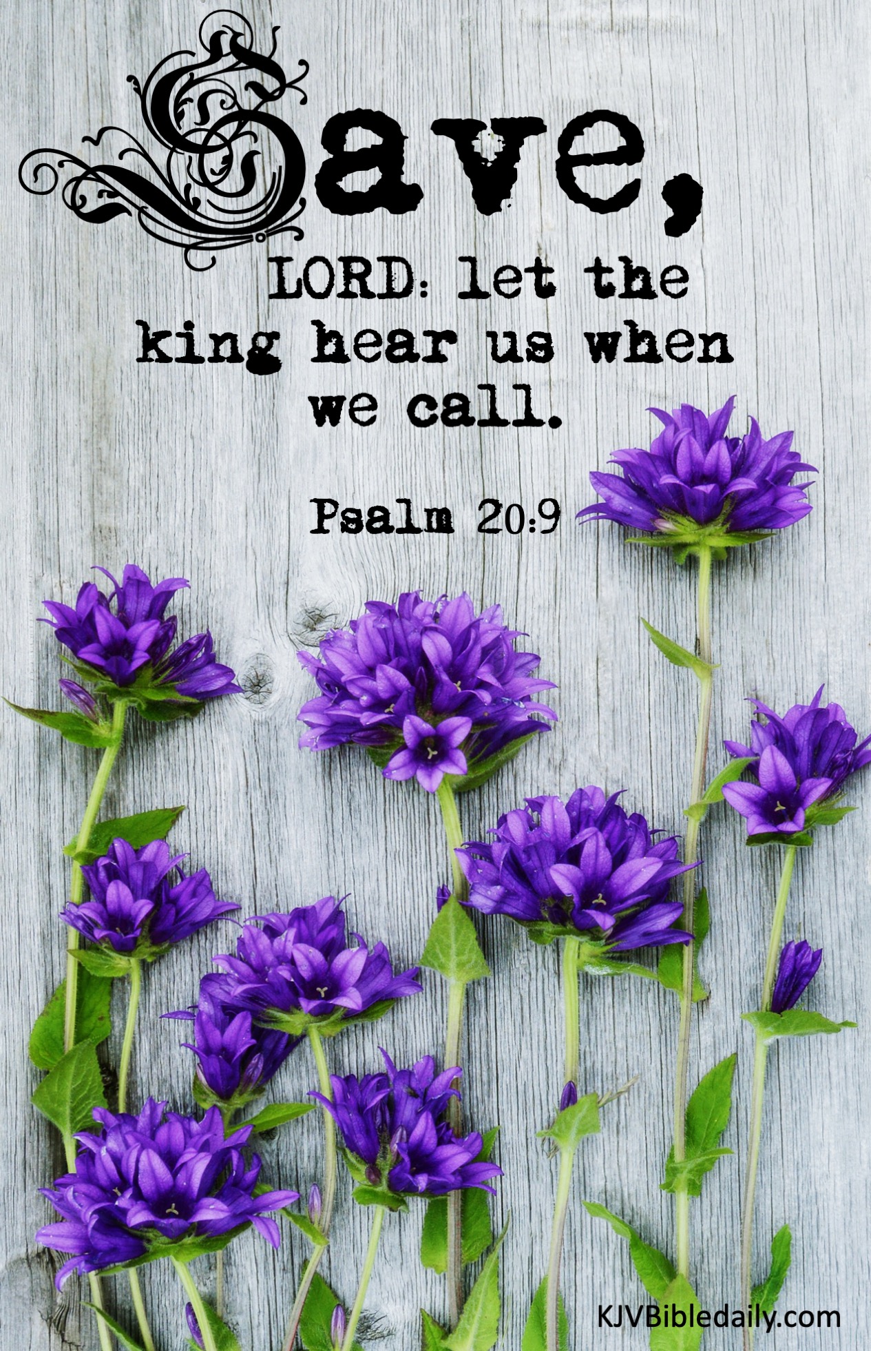 Psalm 20:9 KJV – KJV Bible Verses